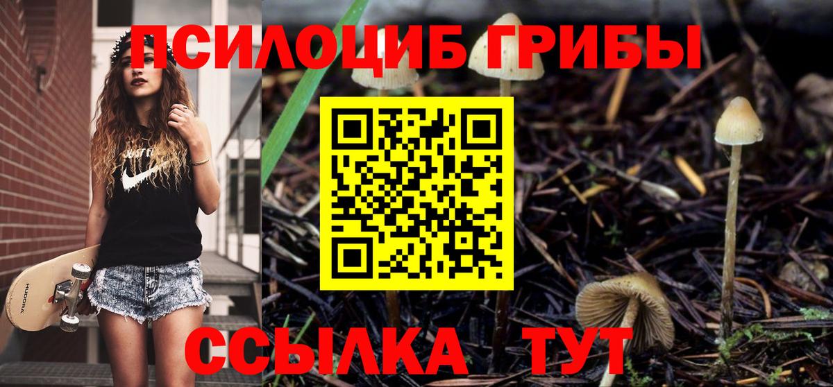 Клин  Галлюциногенные грибы GOLDEN TEACHER  Вход с VPN  Псилоцибиновые грибы GOLDEN TEACHER 