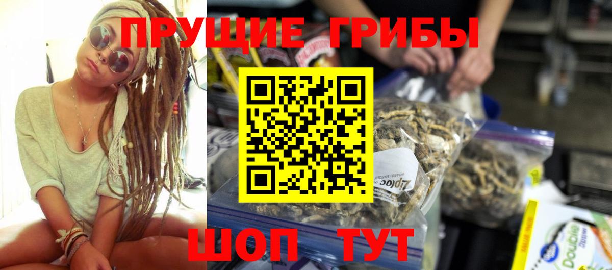 Псилоцибиновые грибы Cubensis Клин